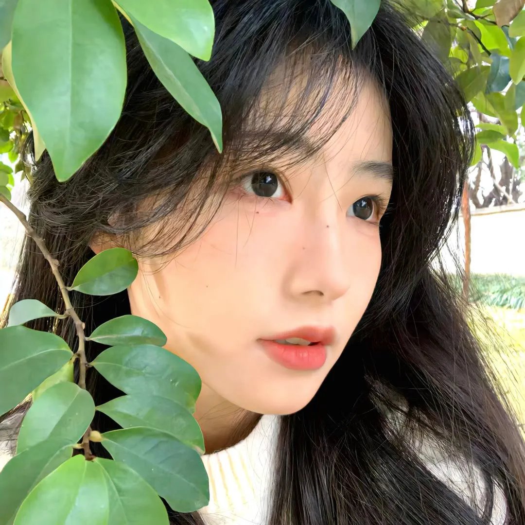 太后有喜